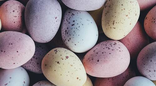 Joyeuses Fêtes de Pâques