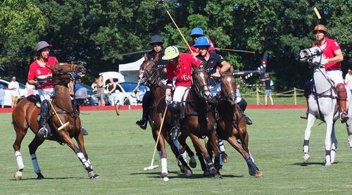 Polo Club de Veytay