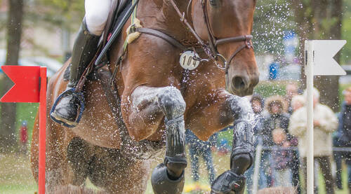 equissima®