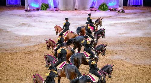 Championnat d'Europe de dressage - Crozet