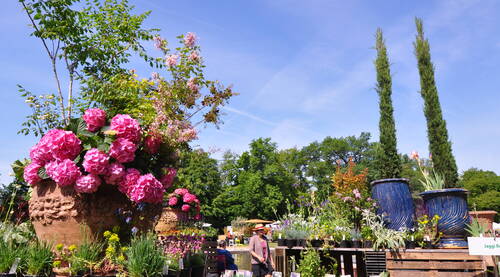 Jardins en Fête