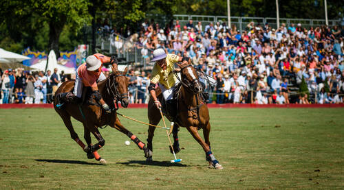 Polo Club de Veytay
